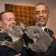Illustration for article titled Stray Cats Invade the G20 Summit, Bold as Can Be